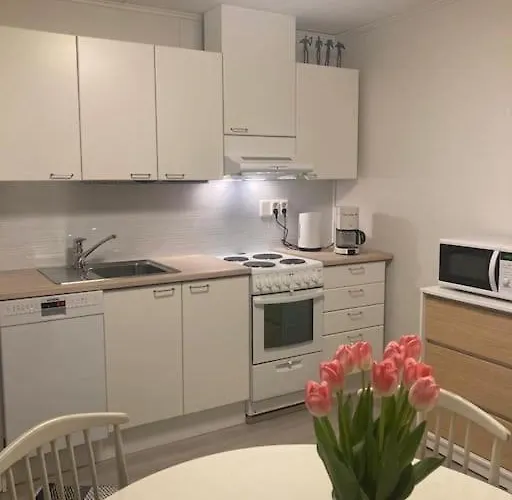 Paritalon Huoneisto Апартаменты